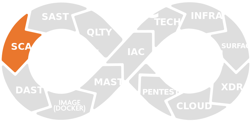 Application Security Testing 4 aspm003