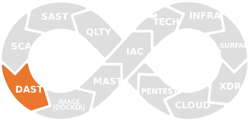 Application Security Testing 5 aspm004
