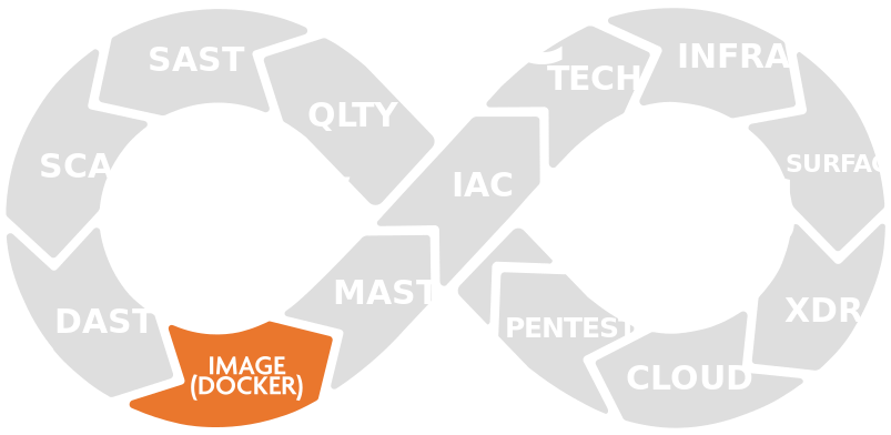 Application Security Testing 6 aspm005