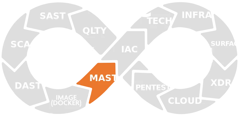 Application Security Testing 7 aspm006
